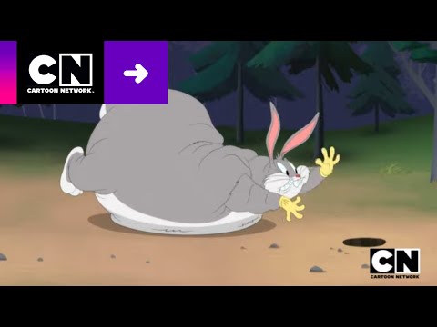 conejo-rechoncho-looney-tunes-cartoons-cartoon-network