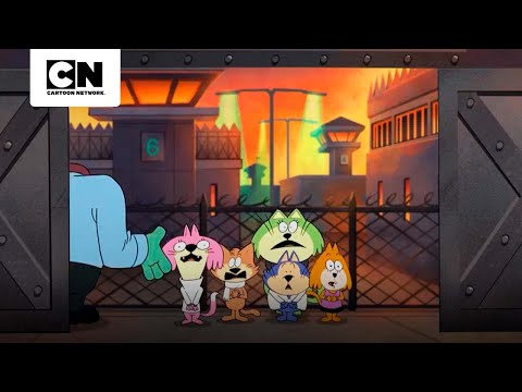 un-escape-con-final-inesperado-jellystone-cartoon-network