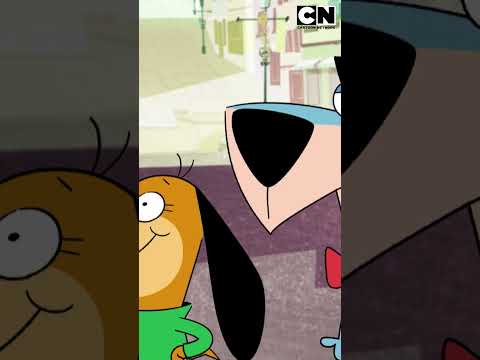 canuto-y-su-arriesgado-enfrentamiento-con-simiolon-jellystone