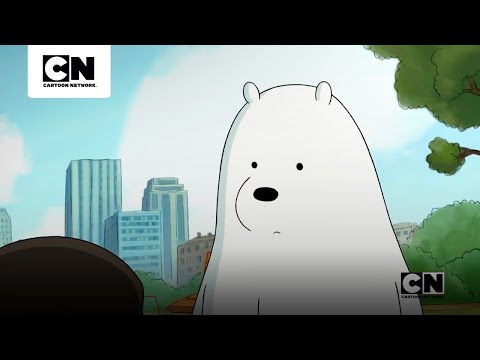polar-un-oso-reservado-con-una-gran-valentia-escandalosos-cartoon-network
