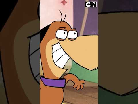 canuto-un-padre-que-se-arriesga-por-su-hija-jellystone