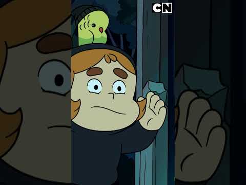 el-extrano-show-de-una-tortuga-que-pasa-por-un-aro-el-mundo-de-craig