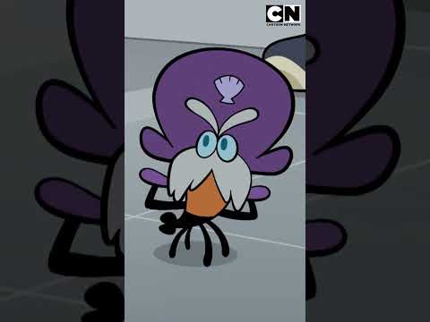 un-tierno-y-bello-tesoro-desconocido-big-blue