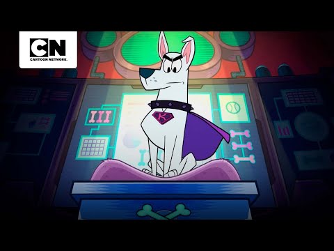 krypto-el-perro-de-superman-se-quiere-liberar-de-los-humanos-los-jovenes-titanes-en-accion-cn