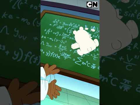 polar-hace-una-tarea-muy-rapido-escandalosos