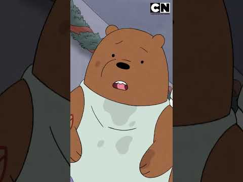 los-osos-estan-arrepentidos-escandalosos