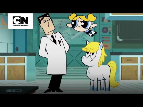 donny-un-gran-sueno-y-su-amistad-con-las-chicas-las-chicas-superpoderosas-cartoon-network