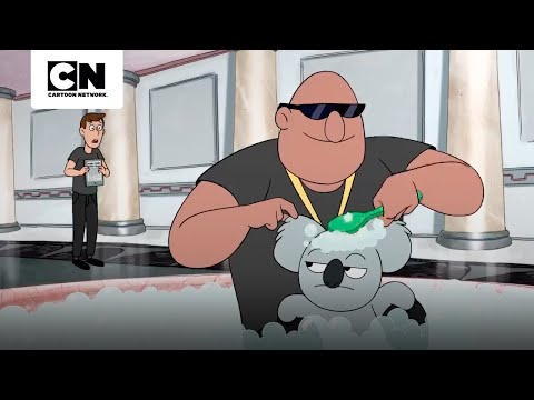 nom-nom-el-koala-multimillonario-y-rey-del-internet-escandalosos-cartoon-network
