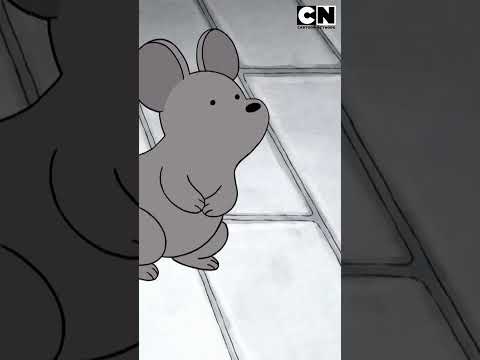 pardo-agradecido-de-una-rata-escandalosos