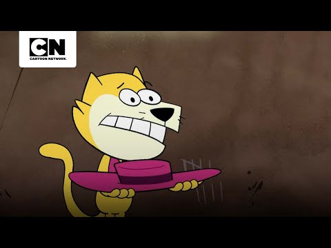 don-gato-paga-sentencia-por-picazon-en-primer-grado-jellystone-cartoon-network
