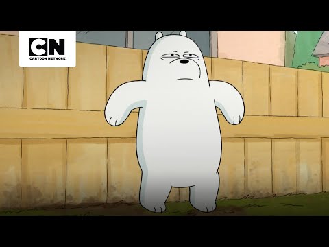 polar-se-enfrenta-a-un-perro-muy-temido-escandalosos-cartoon-network