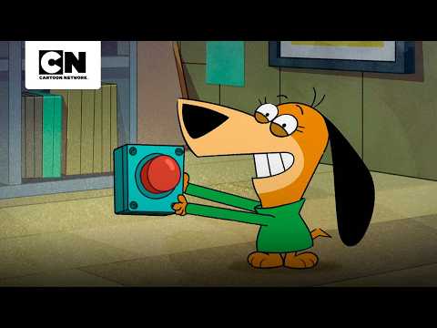 la-responsabilidad-de-canita-jellystone-cartoon-network