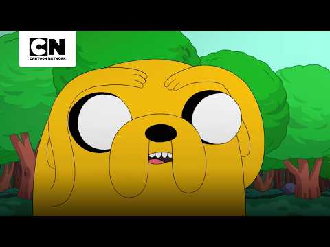 momentos-de-diversion-y-aventura-con-finn-y-jake-hora-de-aventura-cartoon-network
