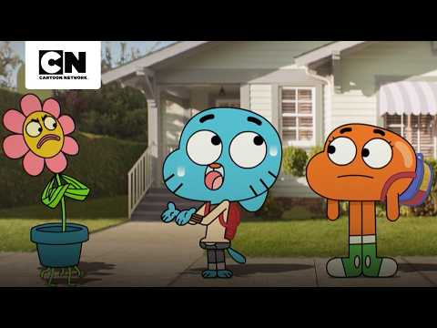 gumball-enmienda-su-error-con-leslie-el-increible-mundo-de-gumball-cartoon-network