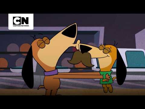jellystone-y-el-caos-mas-divertido-jellystone-cartoon-network