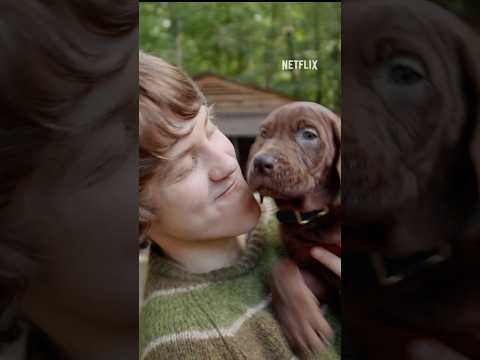 presentacion-de-scoobydoo-netflix