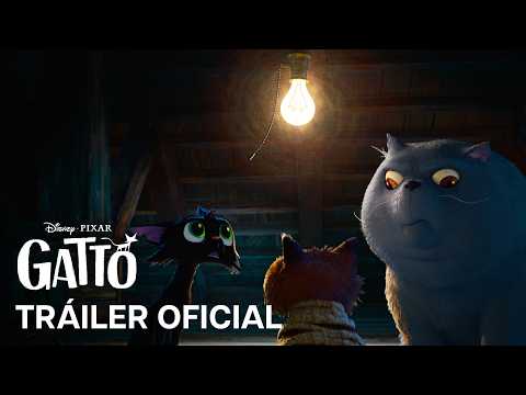 gatto-trailer-oficial-subtitulado