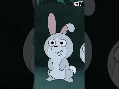 noche-de-terror-en-el-bosque-escandalosos