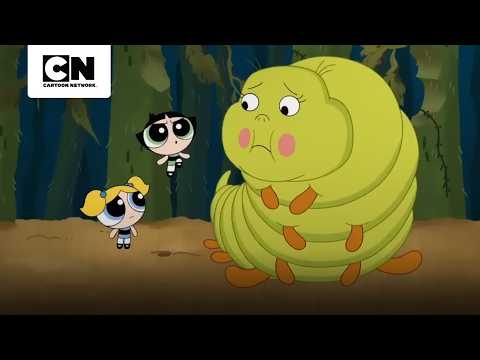 las-chicas-y-sus-aventuras-con-otros-seres-las-chicas-superpoderosas-cartoon-network