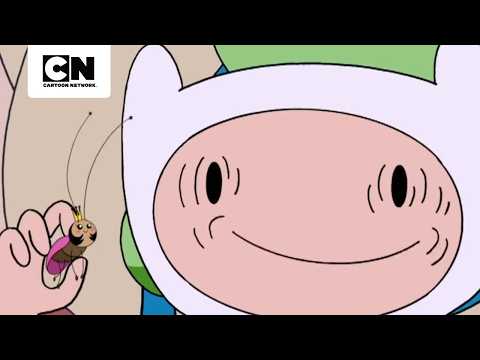 aventura-con-proposito-ayuda-a-los-demas-hora-de-aventura-cartoon-network