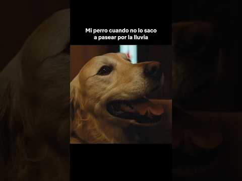le-quitaba-la-patita