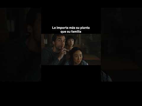 la-proxima-vez-que-empiece-a-llover-piensen-en-sus-plantitas-la-ultima-casa