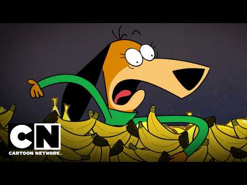bubotas-jellystone-cartoon-network-la