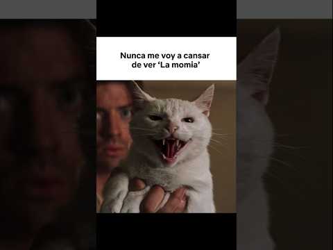soy-yo-mostrando-al-michi-cuando-vienen-visitas-la-momia-ya-disponible-en-netflix